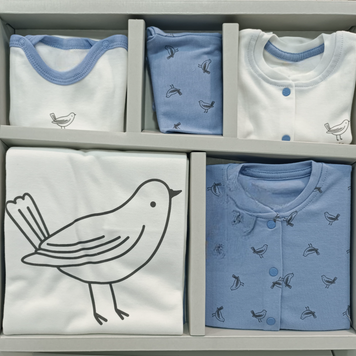 Bird Themed 10-Piece Newborn Welcome Set Baby Purple (0-3 Months) - A020.10328